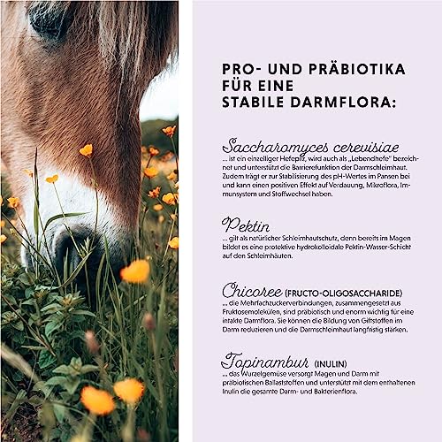 Annimally Probiotika Pulver für Pferde - 750g Darm Pulver mit Lebendhefe für eine gesunde Darmflora - Darmbakterien zur Darmsanierung beim Pferd, bei Kotwasser & Durchfall