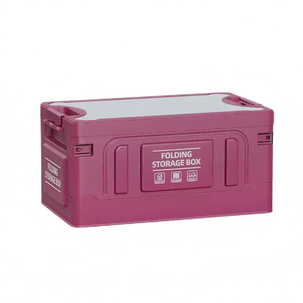 Amazon.com: QWHJSP Car Trunk Organizer for Buick Envista 2024 2025