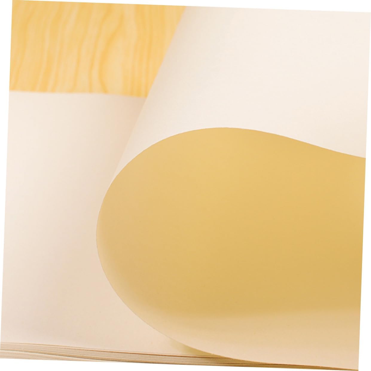 IWOWHERO 8K 160Gsm Slightly Yellow Drawing Paper 40 Sheets 2 Packs Sketching Paper for Students Artists Art Sketch Supplies Eye Protection