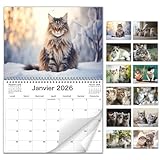 Mise en page mensuelle claire – Planificateur mensuel spacieux au format A4 à A3 avec de grandes cases quotidiennes pour notes, rappels et événements. Inclut les jours fériés pour une planification facile.