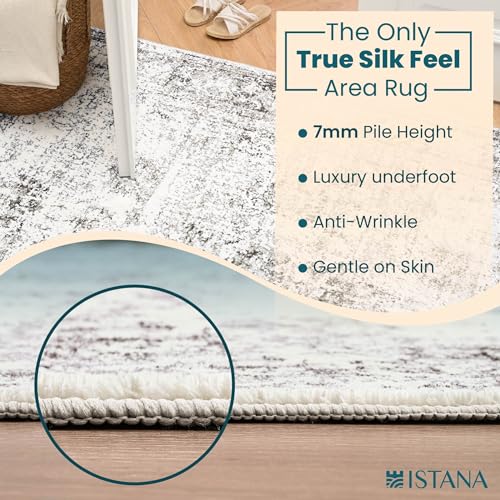 Istana R04-2X6-G Hallway Runner Rug 2X6 thumb #5
