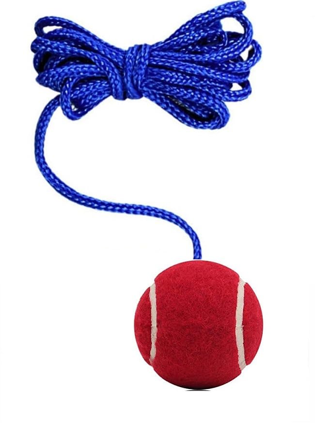Aerolooks 3.5mtr Practice Ball Heavy for Indoor/Outdoor Knocking Cricket Training Ball Hanging Ball(Standard, Pack of 1, Red)-picture-35