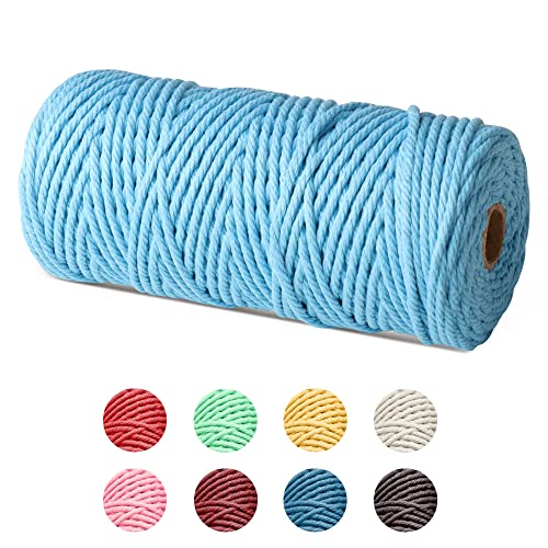 Czyan Hilo de macramé de 3 mm x 100 m, cordón de algodón natural para macramé, manualidades, manualidades, pared, colgar, plantas, color azul claro Cover