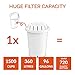 Invigorated Water Alkaline Water Filter Pitcher - Long Lasting Alkaline Water Pitcher Filter with Multi-Stage Filtration System - High pH Alkaline Pitcher Water Jug & 1 Alkaline Filter - 2.5L (White)