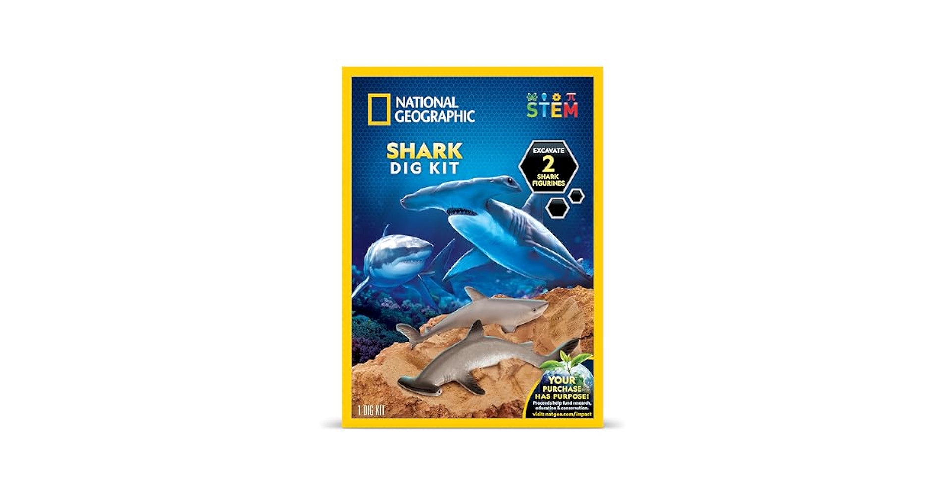 Amazon.com: Blue Marble National Geographic Shark Dig Kit