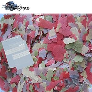 COMIDA PARA PECES A GRANEL COMIDA DE PECES A GRANEL COMIDA PEZ ACUARIO ESCAMAS