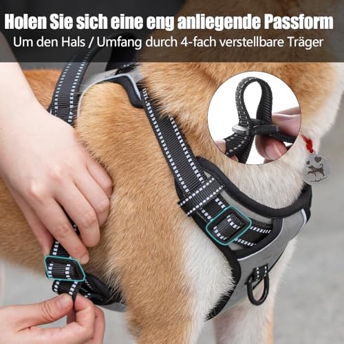 PoyPet No Pull Hundegeschirr, reflektierendes Westengeschirr mit 2 Leinenbefestigungen und einfachem Steuergriff für kleine mittelgroße Hunde (Grau, S (1er Pack))