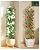 MYMULIKE 2 Pack Garden Obelisk Trellis for Climbing Plants Outdoor & Indoor - 6Ft Rustproof Garden Trellis Plant Support Cage for Vines, Flowers, Vegetables, Roses | Heavy-Duty, Adjustable