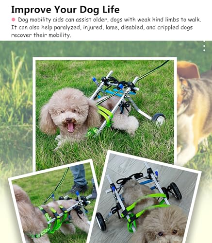 Silla de ruedas ajustable para perros con rodamientos duraderos para paseos estables 4