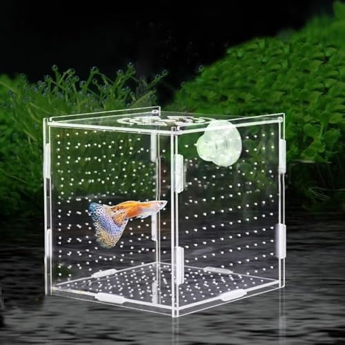 Image of PINVNBY Acrylic Fish Breeding Box，Guppy breeding Box Acrylic Fish Isolation Box Aquarium Incubator with Suction Cups for Guppy Shrimp Small Baby Fishes（3.9 x 3.9 x 3.9 inches）