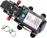 G Ganen 12V DC Fresh Water Pump with 2 Hose Clamps 12 Volt Diaphragm Pump Self Priming Sprayer Pump with Pressure Switch 4.5 L/Min 1.2 GPM 110 PSI Adjustable for RV Camper Marine Boat Lawn