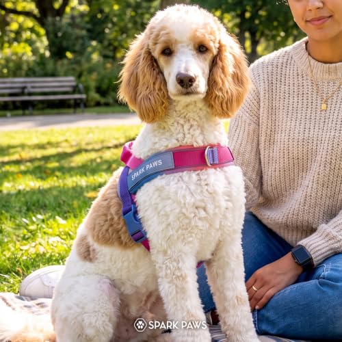 Image of Spark Paws No Pull Front Clip Dog Harness - Easy On, Padded and Lightweight | Two Clips, On in Seconds, Chest Bearing, Australian Style, No Throat Pressure, for Small Medium and Large Breeds