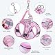 Brifit Katzengeschirr, Katzen Geschirrset Ausbruchsicher mit Reflektierenden Streifen, Verstellbar Cat Harness mit Leine 150cm, Katzen Geschirr für Kleine Kitten Hunde [Rosa XXS] für 2-3kg Pet