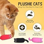 Vila Plush Cat Chews with Catnip, Feline Mood Enhancer, Oral Care Assistant, Gum Massager, Exercise and Entertainment Treat, Cotton Fabric, Orange, Red, Gray, Pink, Black, 5 Pcs per Pack - Image 3