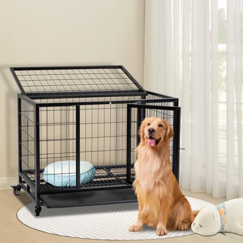 Hundekäfig hochbelastbar, Faltbare Mobile Hundebox, 2 Türen, feststellbare Räder, herausnehmbares Tablett – Für Mittelgroße/Große Hunde – Schwarz (92x62x75 cm)