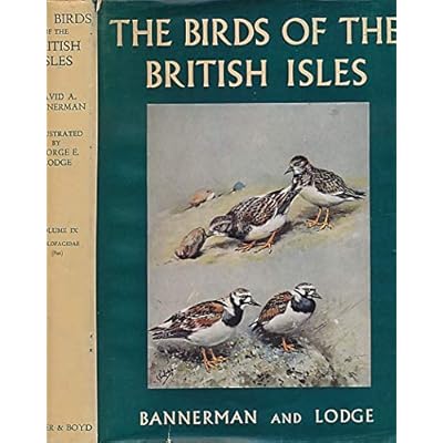 Birds of the British Isles Volume Nine (ix 9) Scolopacidae