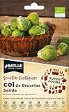 Peyca Semillas Horticolas - Col de bruselas super foods - Semillas Batlle