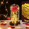 Schoonheid en het beest Rose Kit, betoverde rode zijde roos voor altijd bloem LED licht in glazen koepel houten basis…
