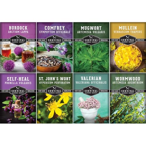 Advanced Medicinal Herb Seeds Collection – Variety Pack for Planting with Mullein, St John’s Wort, Valerian, Mugwort – Heirloom Apothecary Herbalist Seed Bundle - Survival Garden Seeds