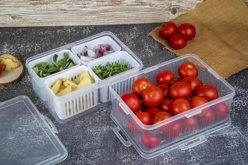 Image of KESI ORNAMENTS Divided Serving Tray With Lids Stackable Fruit&Veggie Container With 4 Small Dividers Plastic Storage Bins For Fridge Pantry Freezer Clear Snack Box For Candy Nuts 4-Compartment