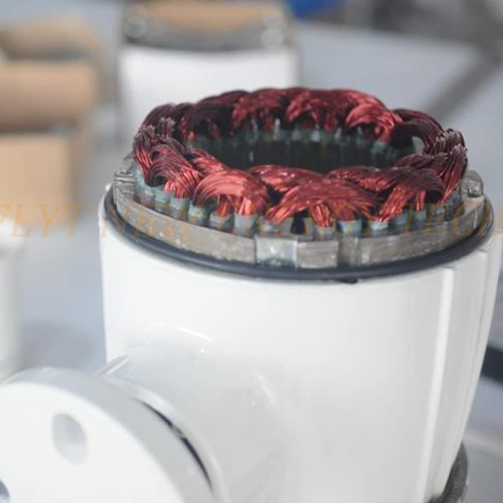 800W Windkraftanlagen 12V 24V 48V Windturbinen Windräder mit 6 Flügeln und kostenlosem MPPT Laderegler horizontale Windgenerator für Zuhause (12V mit Reglar)