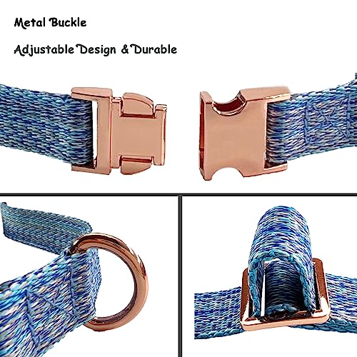 Collar para perro con hebilla metálica, nylon resistente, talla S, azul miniatura 4