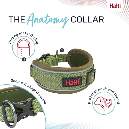 Image of Halti Anatomy Dog Collar | Size L, Green | Wide Design Collar for Pressure Relief | Padded, Reflective & Adjustable | Matching Leash & Harness | For Large Dogs