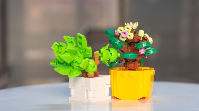 hibi　スタンドコレクションセット Amazon.com: SATHIBI Flowers Succulents Botanical Collection