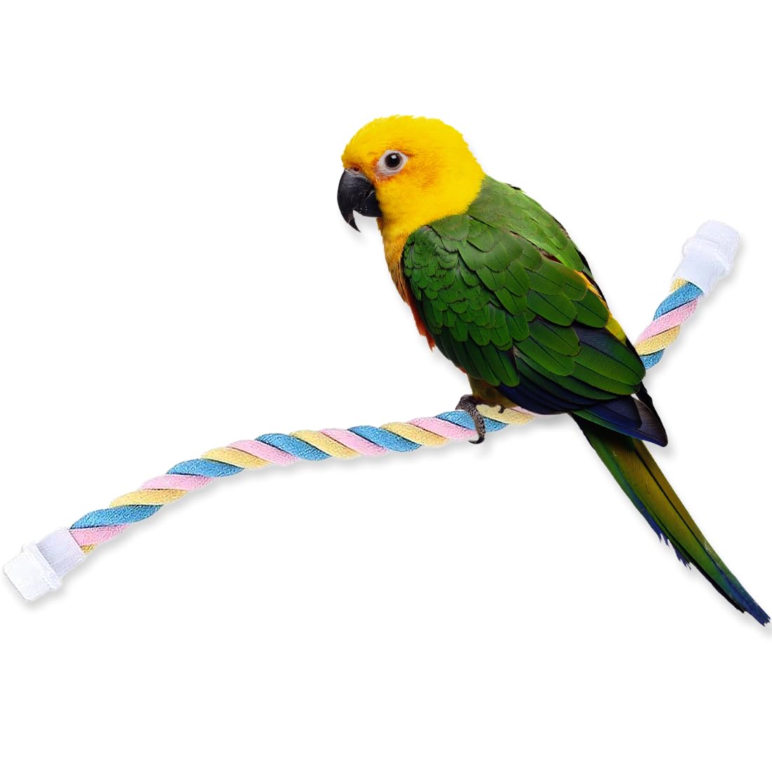 WeddHuis Altalena per Uccelli, Giocattoli da Appendere in Gabbia Altalena Resistenza al Morso con Corda di Cotone Giocattolo Posatoi Giocattolo Pappagallo Rompi Noia per Calopsitte,Pappagallini