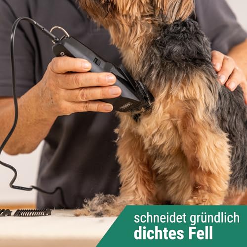 Agrarzone Edition Wahl 1400 Schermaschine Hund mit Aufsteckkamm-Set - Leise Tierhaarschneidemaschine Moser für kleine Hunde wie Yorkshire Terrier - Ergonomisch & langlebig