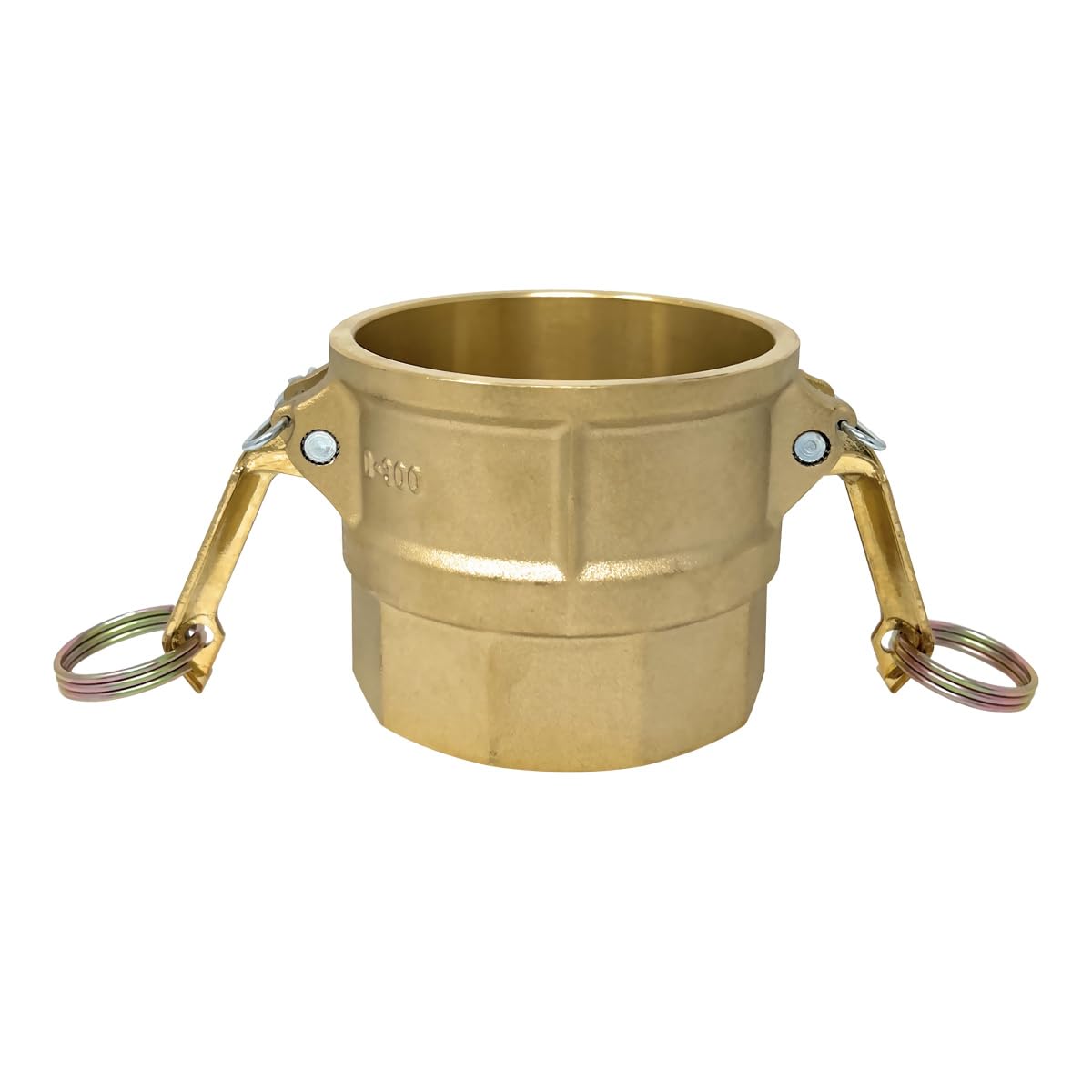 Gloxco Brass Type D Cam and Groove Hose Fitting, 3