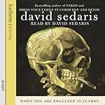 Cover of When You Are Engulfed in Flames