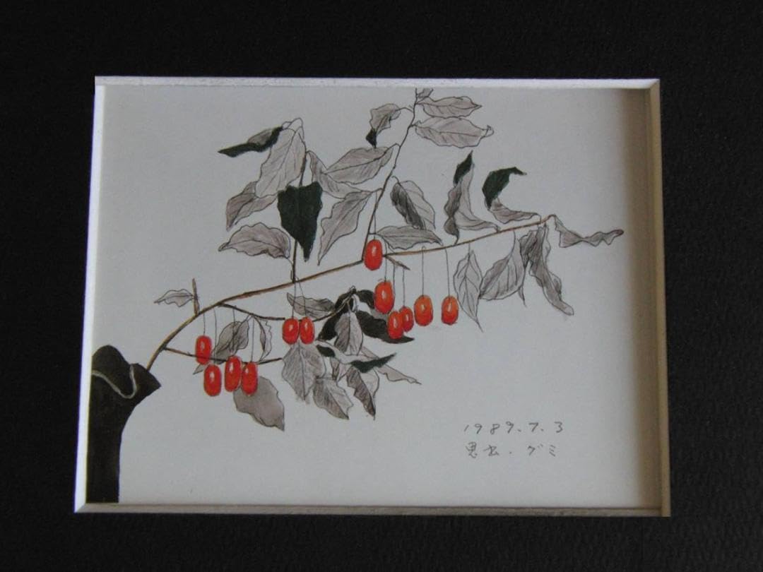 Amazon.co.jp: 斎藤清、「想出 グミ」、な画集の額装画、オーダー 