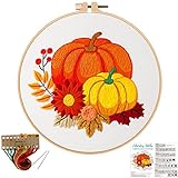 Louise Maelys Pumpkin Beginners Embroidery Kits,Cross Stitch kit for Adults Starters Including Embroidery Cloth with Fall Pattern