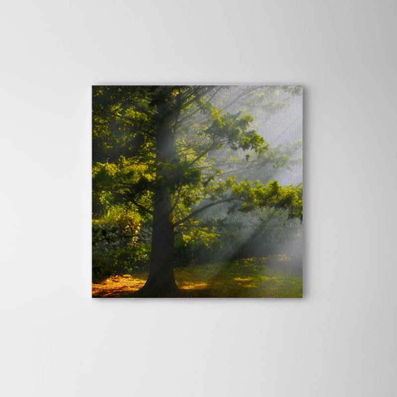 bpaSunray On Leafes Canvas Wall Art Painting Wallart Canvas - 60 X 60 Cm