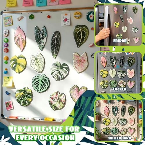 Imanes decorativos hoja Sabary pack 30 unidades miniatura 4
