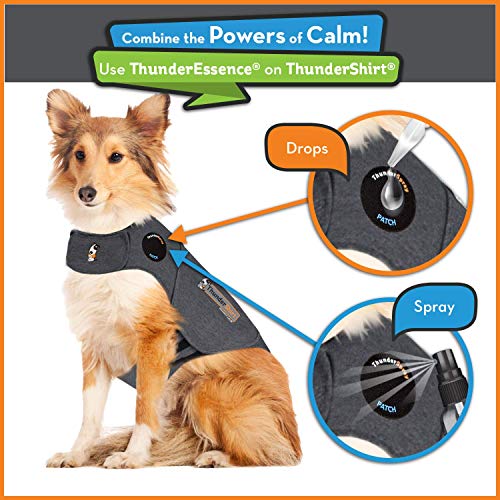 Image of ThunderEssence Dog Calming Essential Oils | All-Natural Lavender, Chamomile and Egyptian Geranium | Vet Recommended |4 FL OZ. Spray