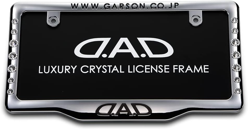 Dad ギャルソン D A D クリスタル ライセンスフレームii フロントモデル クローム Sb181 01
