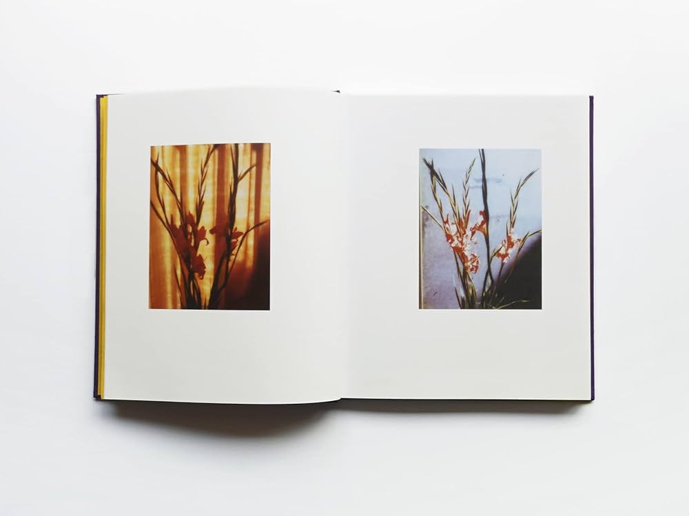 【おまとめ専用】海外古書　洋書　1979年　高山の花 flowers: 9784865411348: Amazon.com: Books