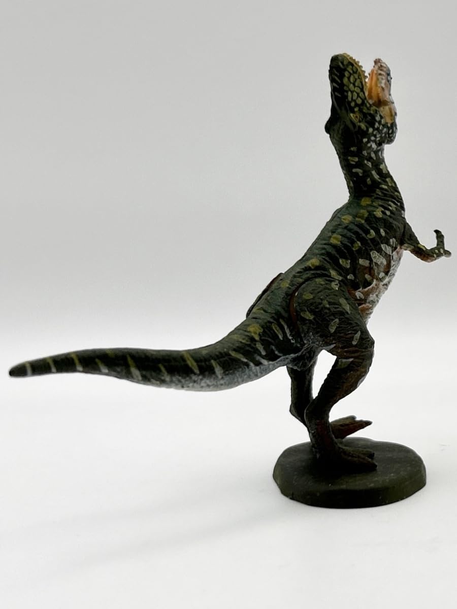 Amazon | 〓海洋堂〓ダイノテイルズ C.C.ザウルス 恐竜模型図鑑