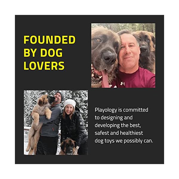 Non Toxic Dog Chew Joy