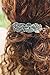 Ginkgo Hair Clip, Hand Crafted Metal Barrette Made in the USA with a Medium 70mm Clip by Oberon Design