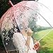 XUANLAN Transparent Cherry Blossom Bubble Dome Umbrella, Romantic Clear Semi-automatic POE Stick Umbrella for Rain and Wind (Pink)
