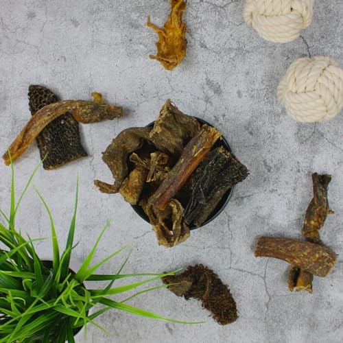 Lyra Pet® 5 kg Rinderpansen klein ca. 2-10 cm getrocknet | Naturbelassener Kausnack | Proteinhaltiges Leckerli auch für Welpen und ältere Hunde | Nährstoffreich | Schonend getrocknet | Gut verträglich