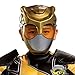Disguise Gold Ranger Outfit for Kids, Beast Morphers Power Ranger Costume, Muscle Padded Character Jumpsuit, Child Size Small (4-6)