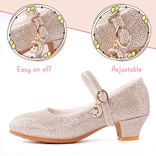 Girls Low Heel Princess Mary Jane Party Dress Shoes - Princess Ballerina Flats for School Party Wedding, Back to School Shoes for Gilrs (Little Kid/Big Kids)3