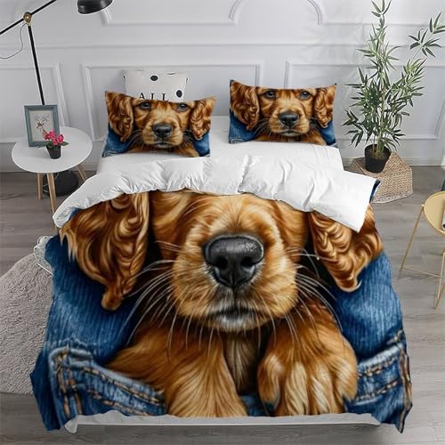 Housse de couette 260x220 fermeture éclair pour lit garçon