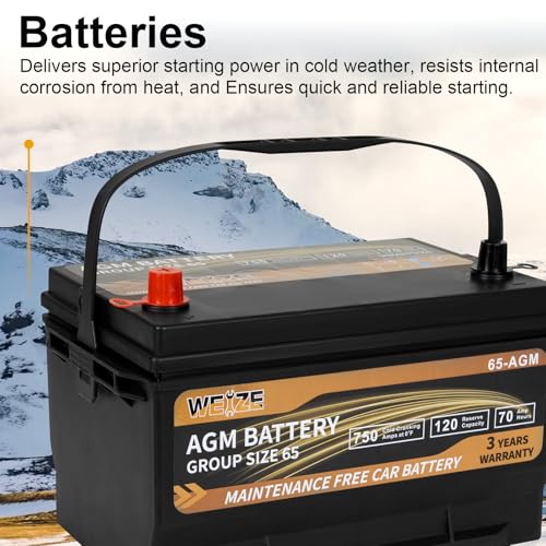 Weize Platinum AGM Group 65 Battery