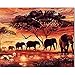 Produktbild Fuumuui Malen Nach Zahlen Erwachsene und Kinder Anfänger Gemälde inklusive Pinsel und Acrylfarben 40 x 50 cm - Landschaft, Elefanten bei Sonnenuntergang