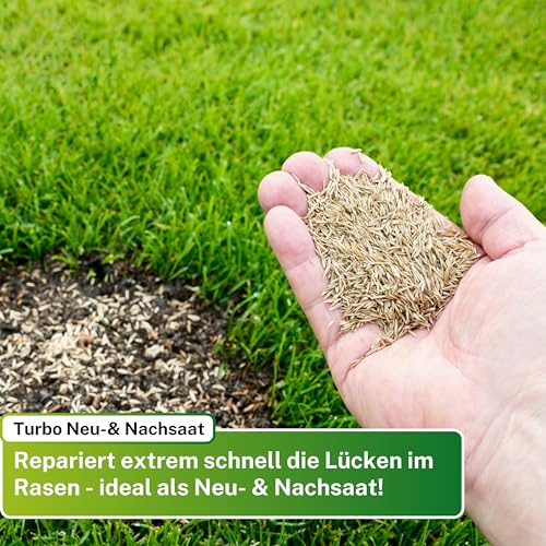 Greenyp Turbo Nachsaat RSM 3.2 I Rasensamen schnellkeimend Frühjahr I 5kg für 200m² I Ideal gegen Lücken als Neu- & Nachsaat I 100% RSM Rasensamen I Grassamen Rasensaat Gras Reparaturrasen